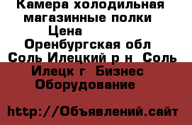 Камера холодильная, магазинные полки › Цена ­ 15 000 - Оренбургская обл., Соль-Илецкий р-н, Соль-Илецк г. Бизнес » Оборудование   